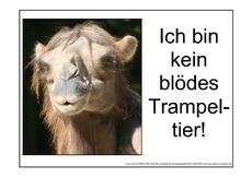 Blödes-Trampeltier-2.pdf